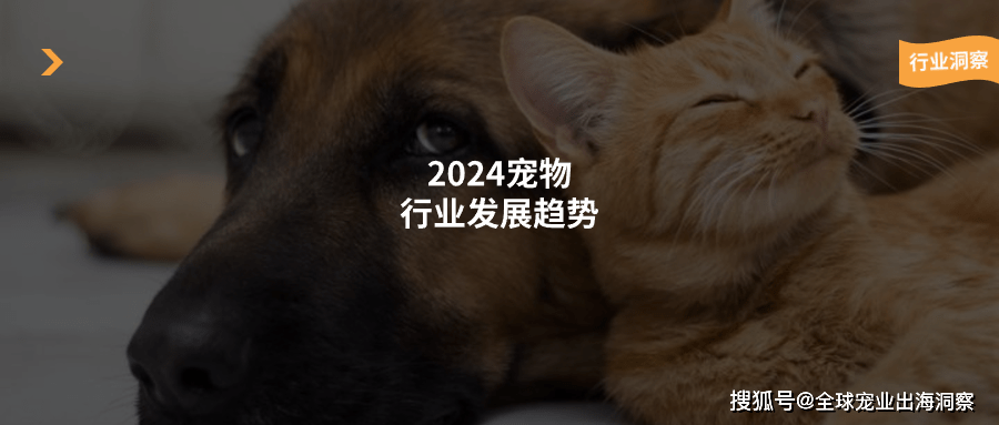 熊貓?bào)w育：2024年寵物行業(yè)的主要趨勢(shì)有哪些？這篇文章多角度為你分析(圖1)