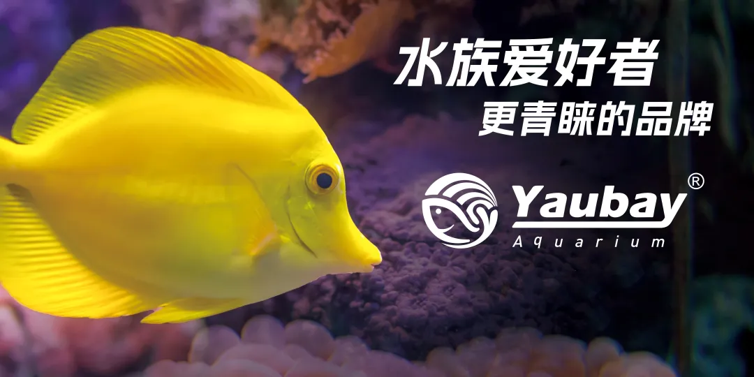 展訊動(dòng)態(tài)丨Yaubay精彩亮相 2024第28屆中國國際寵物水族展覽會(huì)(圖1)