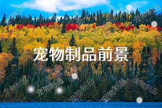 熊貓?bào)w育：2024年寵物制品發(fā)展前景 趨勢(shì)預(yù)測(cè)